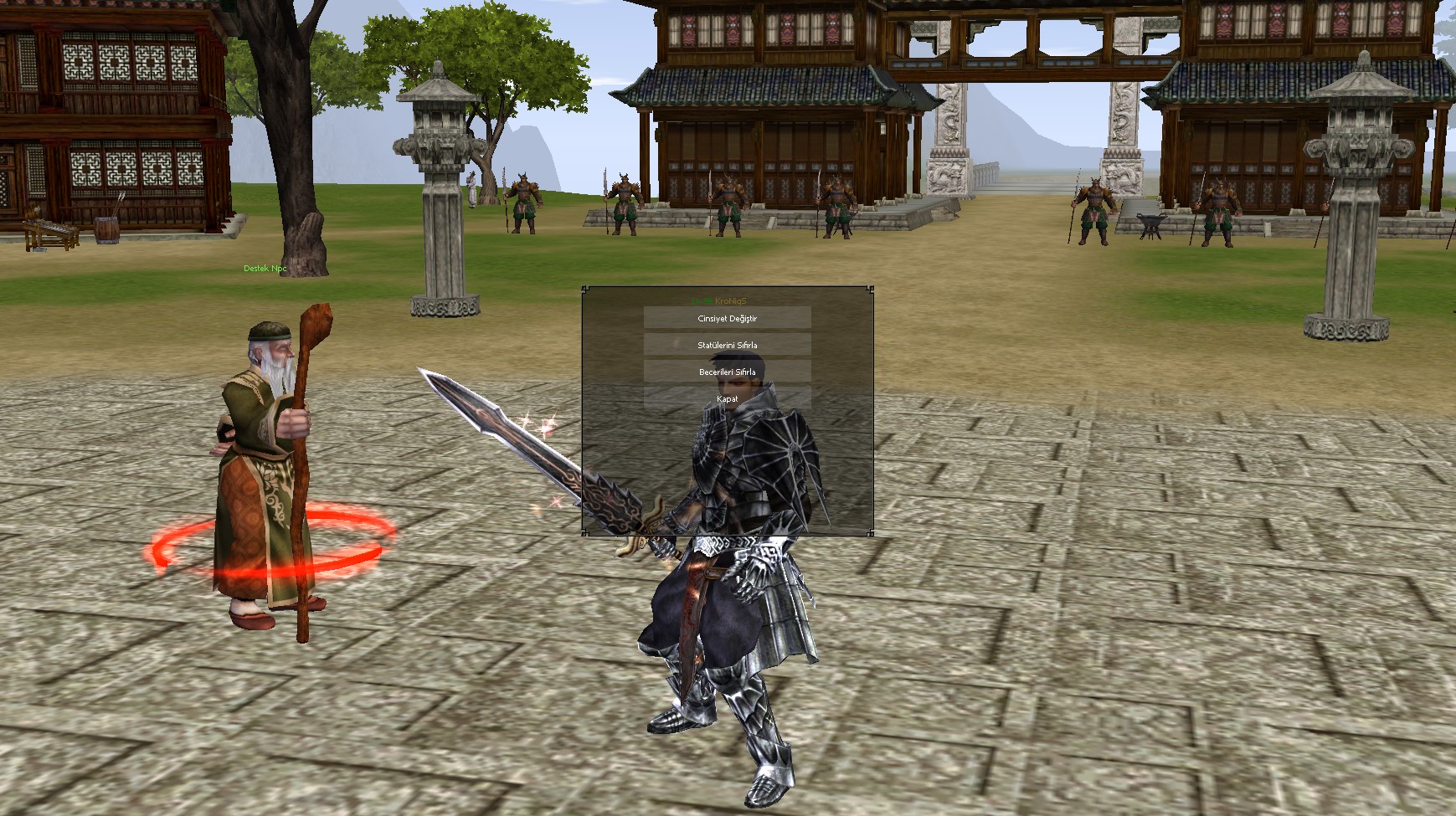 Destek NPC